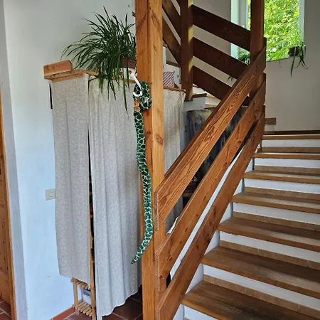 Haus Kondelwald Daire *